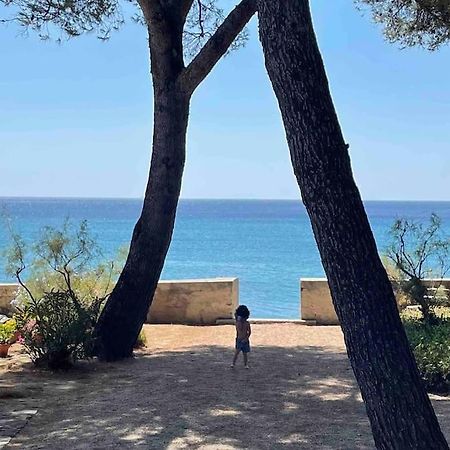 Cocon Les Pieds Dans L'Eau Acces Direct A La Mer La Ciotat Eksteriør billede
